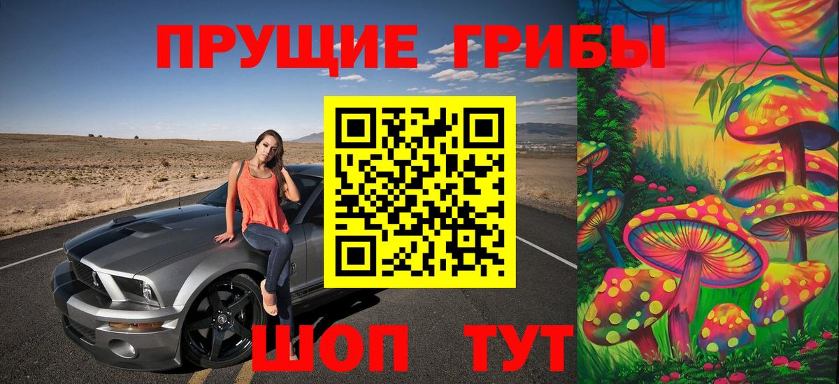 Псилоцибиновые грибы Psilocybine cubensis  Вход с VPN  Псилоцибиновые грибы Psilocybine cubensis  Борисоглебск 